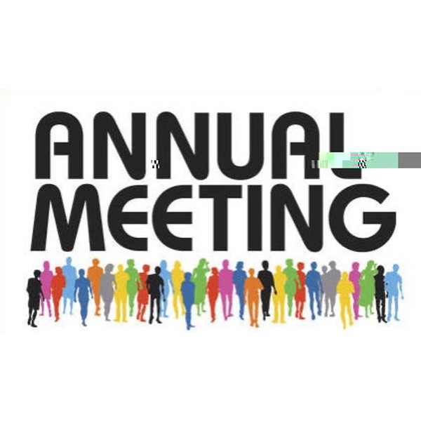 Annual Meeting graphic with a crowd of colorful silhouetted people