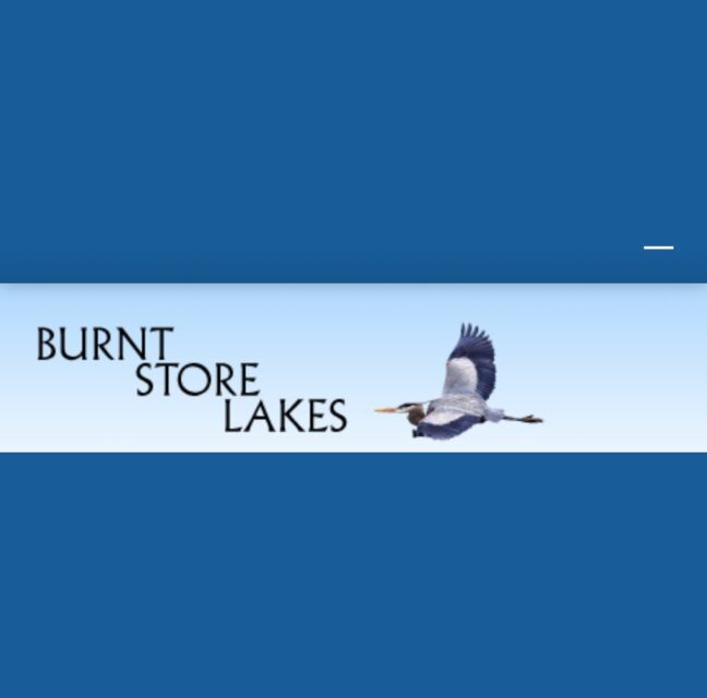 Burnt Store Lakes website banner with a great blue heron in flight