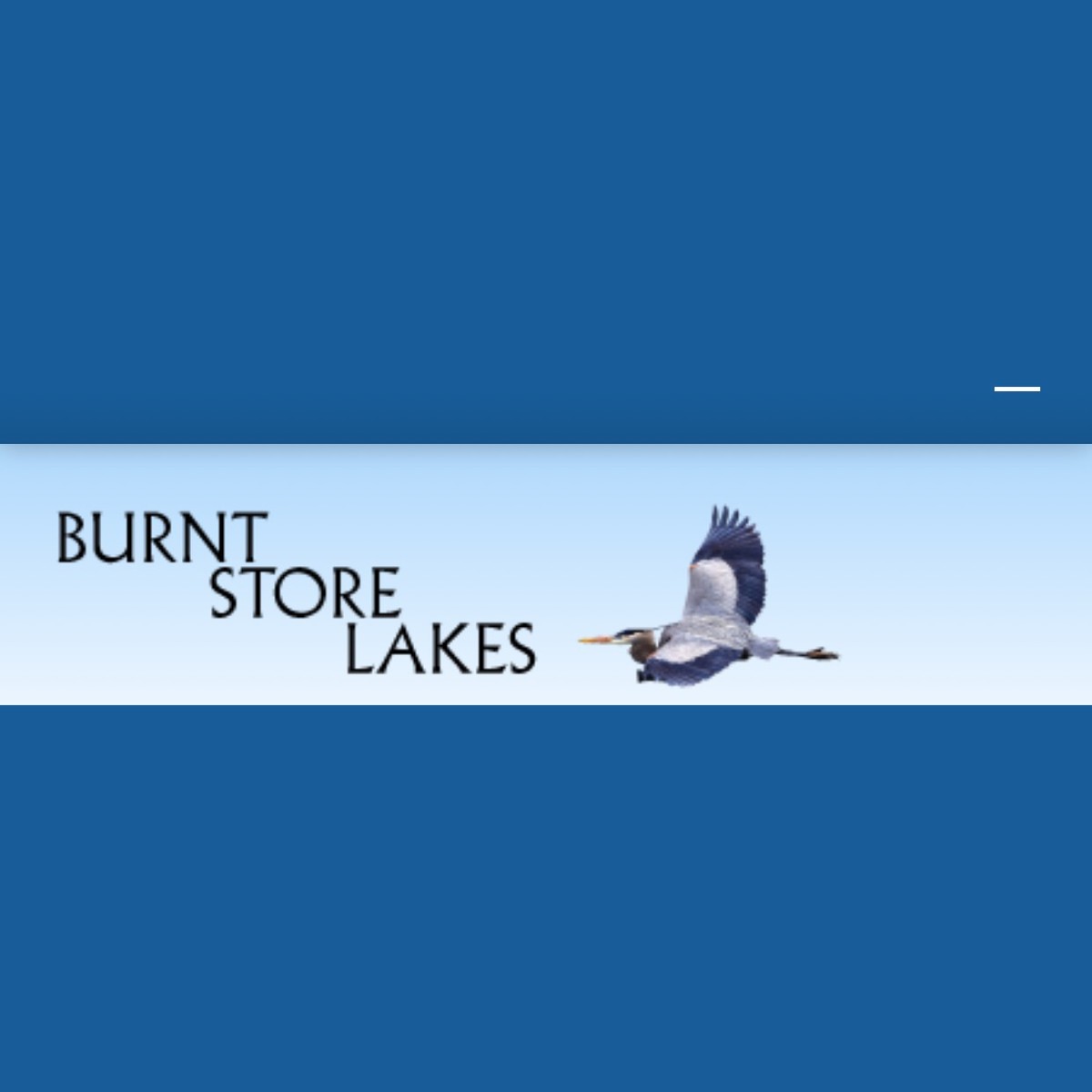 Burnt Store Lakes website banner with a great blue heron in flight