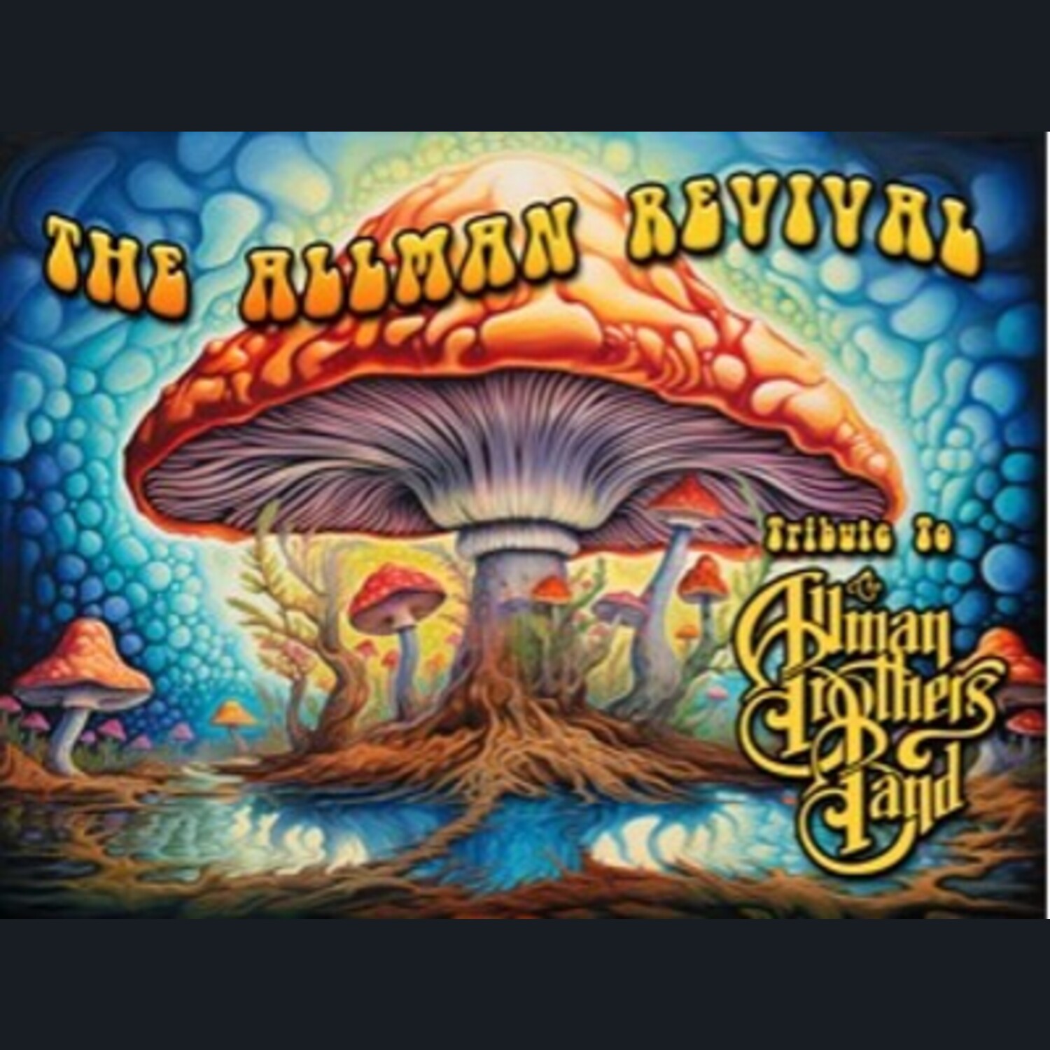 The Allman Revival tribute band poster art