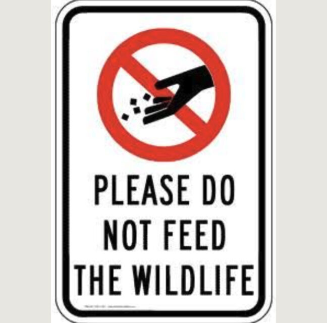 Please Do Not Feed The Wildlife road sign